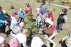 Расти елочка, большая-пребольшая!