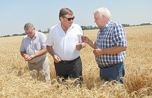 В.К. Соцкий, В.И. Борзенко, Г.А. Кротов.