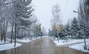 Зимой парк особенно сказочен...