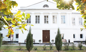 Атаманский дворец.