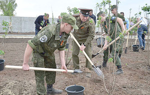 Фото-к-тексту-Сад-Победы-зацвел-и-расширил-свои-пределы_