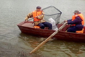 Фото-к-тексту-Чистота-донских-рек-—-это-сохранение-экологии_