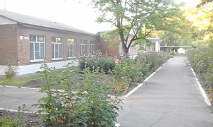 На территории Верхнеподпольненской школы.