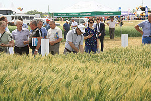 Осмотр демонстрационных посевов.