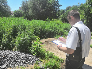 Фото-к-тексту-За-нескошенную-сорн