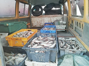 IMG-20190722-WA0231_