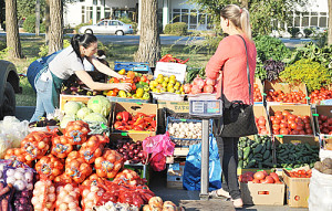 Богат и урожай, и выбор!