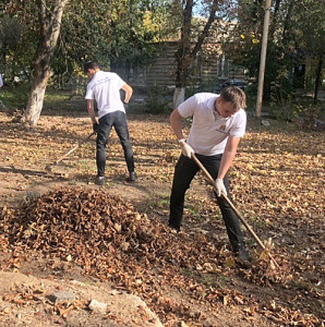 Волонтеры приводят в порядок территорию Аксайской ЦРБ.