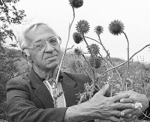 Б.А. Голотин: «Донским всем травам царь и бог, К цветению готов чертополох...»