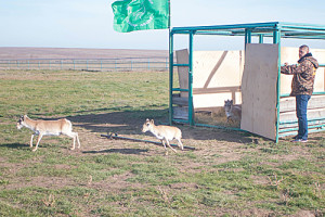 27fc6e41fd36ad838f2809a4c2798dce_1600