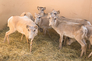 2cfdd6705d0adcda909f00729