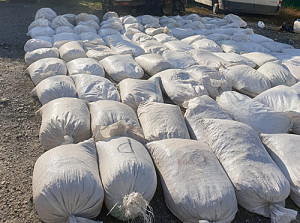 IMG-20191118-WA010111_