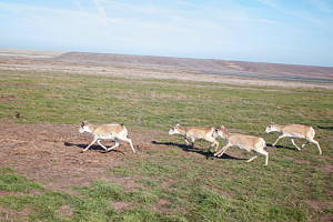 cb079f826df479b0d89002e459